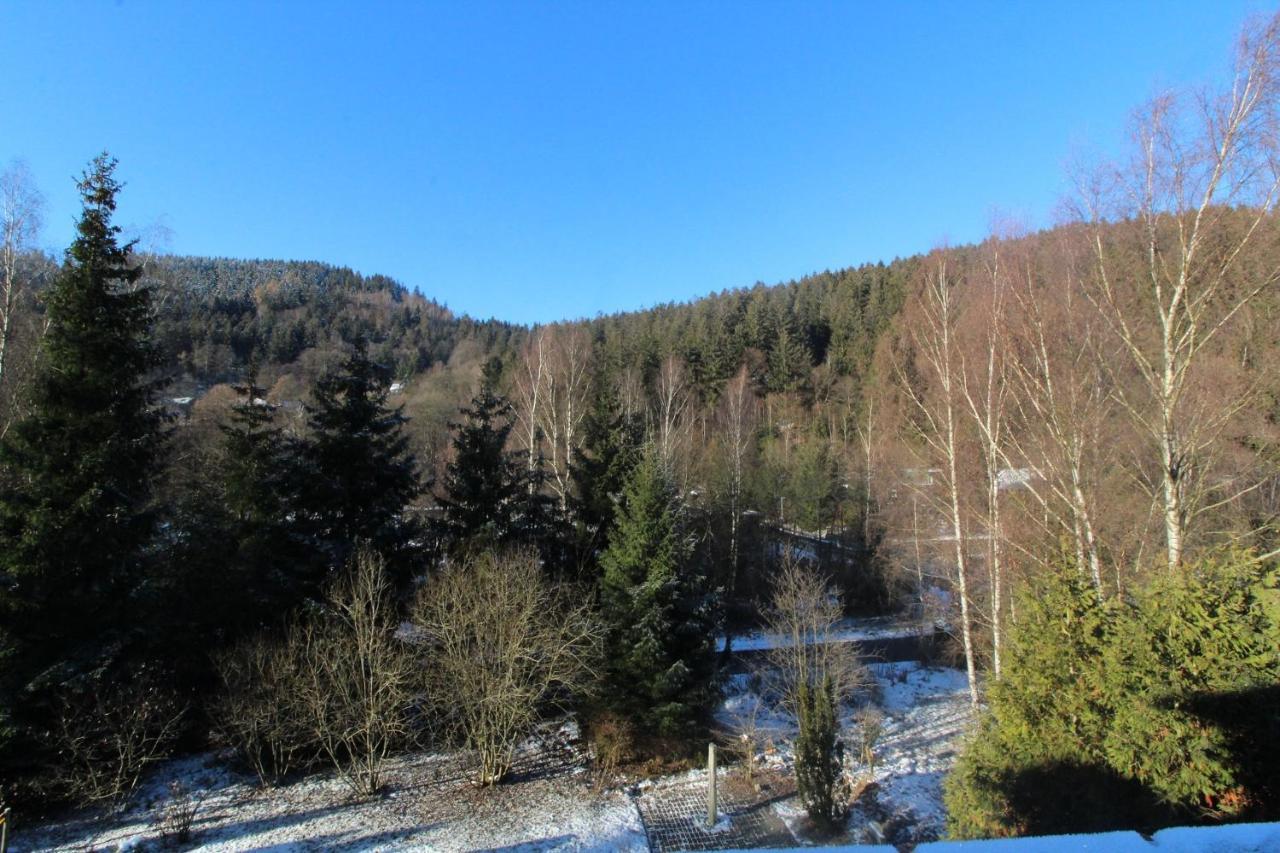 Home-Im-Harz Lautenthal Zewnętrze zdjęcie